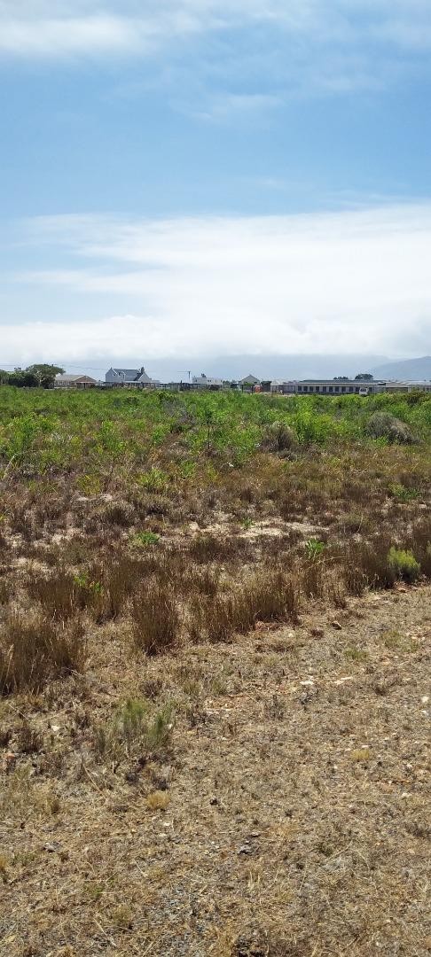 0 Bedroom Property for Sale in Fisherhaven Western Cape